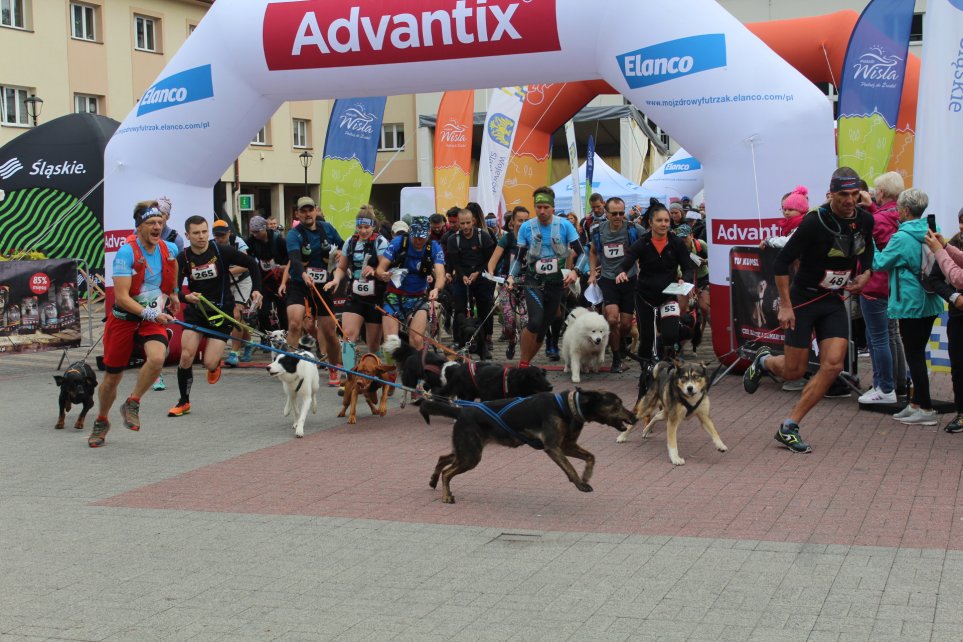 dogtrekking_2022